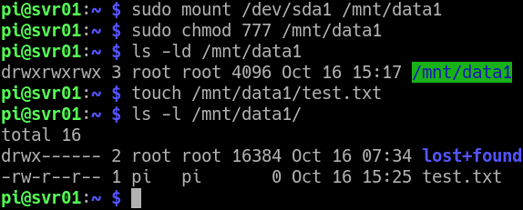 Commands to manually mount the usb drive